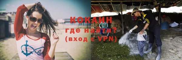 амф Кулебаки