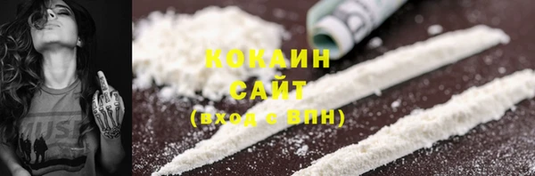ГАЛЛЮЦИНОГЕННЫЕ ГРИБЫ Кукмор