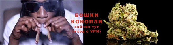 молекула духа Куйбышев