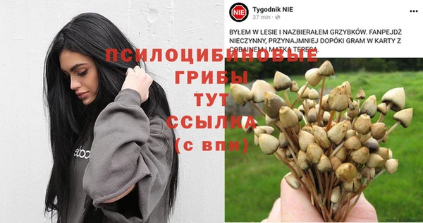 амф Кулебаки