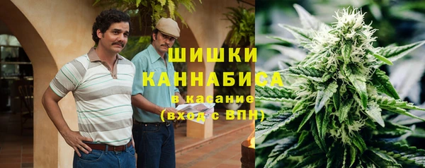 ГАЛЛЮЦИНОГЕННЫЕ ГРИБЫ Кукмор