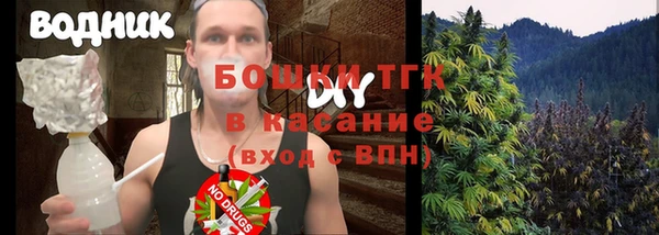 ГАЛЛЮЦИНОГЕННЫЕ ГРИБЫ Кукмор
