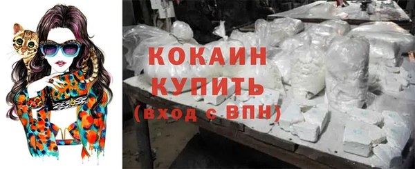 амф Кулебаки