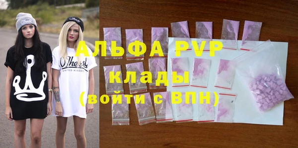 ГАЛЛЮЦИНОГЕННЫЕ ГРИБЫ Кукмор