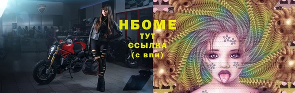 ГАЛЛЮЦИНОГЕННЫЕ ГРИБЫ Кукмор