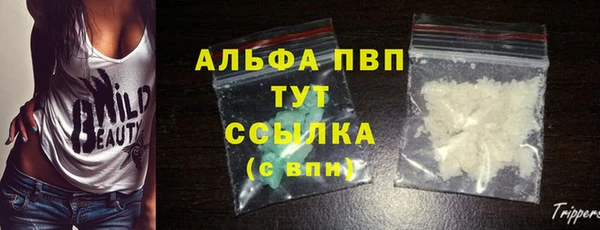 ГАЛЛЮЦИНОГЕННЫЕ ГРИБЫ Кукмор