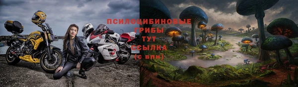 ГАЛЛЮЦИНОГЕННЫЕ ГРИБЫ Кукмор