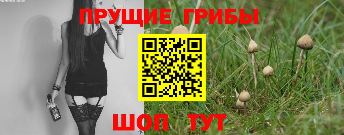 Галлюциногенные грибы Magic Shrooms Чебаркуль
